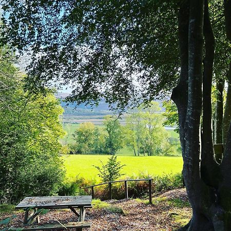 Llety Brynawel Guest House Pennal Esterno foto